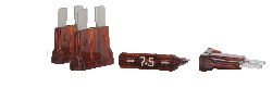 8CXS001.0000-00