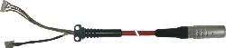 5CAMPH.0150-40